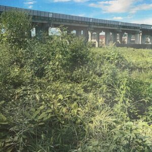 八王子市泉町土地 画像4