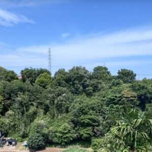 鶴見区駒岡土地・二工区